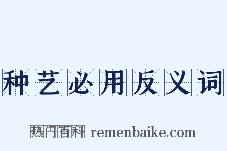 种艺必用反义词是什么意思的图片